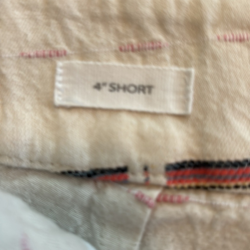 Women’s Loft 8 4 inch shorts multi colors in stripes cream base color - Picture 4 of 4